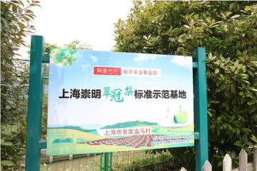 事關糧食安全和2000億元市場規模，數字農業沒有退路