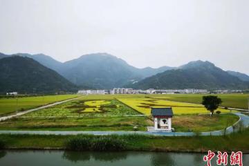 “數(shù)字鄉(xiāng)村” 有多火？