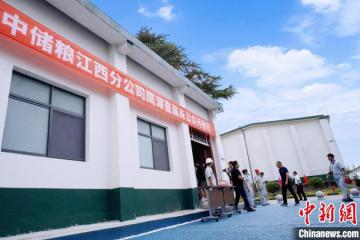 智能物聯網筑牢糧食安全“壓艙石”