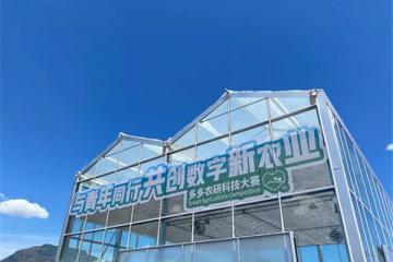 拼多多的智慧農業新戰事