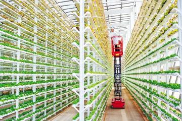 “物聯網+農業” 一年釆收9茬