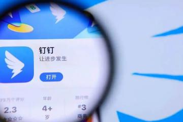 釘釘換帥：葉軍向左，陳航向右