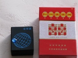 GPS定位 /全球最小偵探GPS