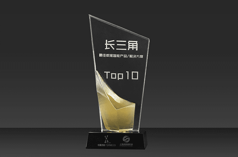 睿極智能入選“長三角最佳數據智能產品/解決方案 Top10”