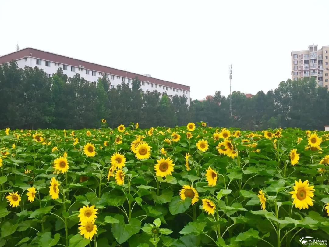 微信圖片_20200730162926.jpg
