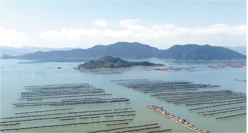 電商為霞浦海帶添翼增力
